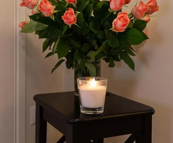 招待所 Tula 罗马